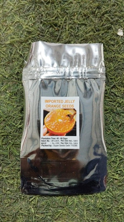 Jelly Orange Seeds